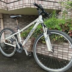 【メンテナンス済み】ルイガノ　LOUIS GARNEAU LGS...