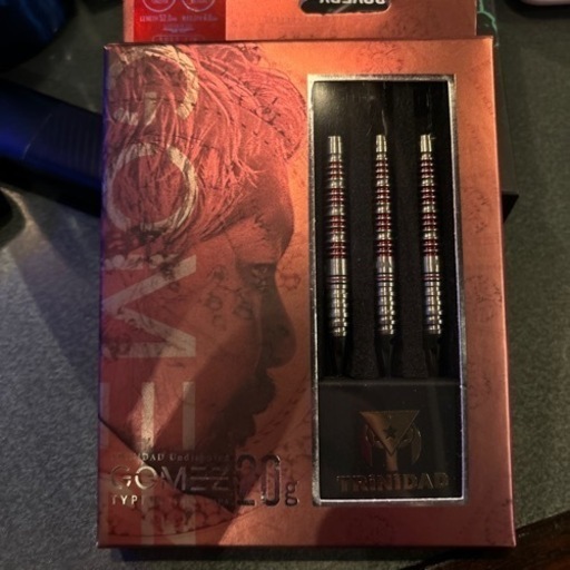 ダーツ　ゴメス14