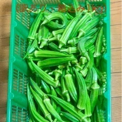 規格外のオクラ（20本80円）