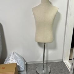 メンズ ボディ トルソーの画像