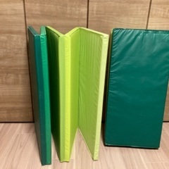 IKEA PLUFSIG ２枚あるうちの２枚目