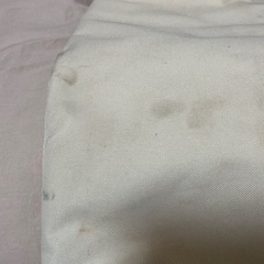 コストコ保冷バッグの画像