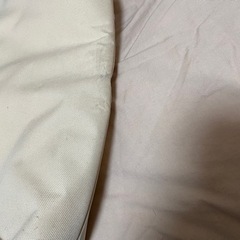 コストコ保冷バッグの画像