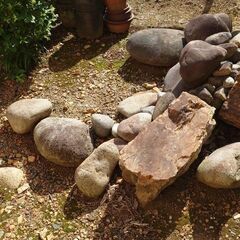 玉石　サイズいろいろの画像