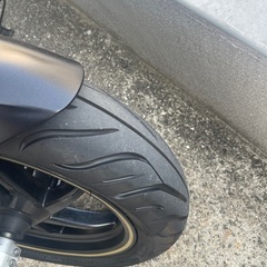 激速！ランナーST200 の画像