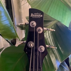 Ibanez楽器 弦楽器、ベースの画像
