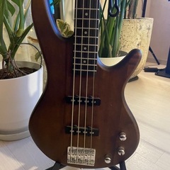 Ibanez楽器 弦楽器、ベースの画像
