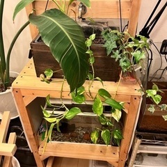 水槽台　アクアポニックス
　
