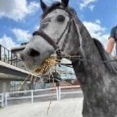 全くの初心者OKです！船橋競馬（未来のサークル）
