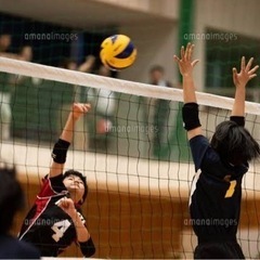 バレーボール仲間募集中🏐