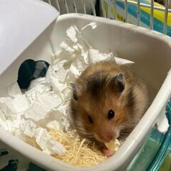 くださいm(_ _)m