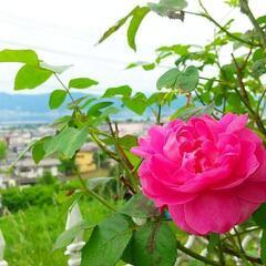 諏訪湖一望シェアハウスです♪（岡谷市 下諏訪町 諏訪市 茅野市 塩尻市 松本市へ通勤可） - 不動産