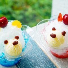 夏休みの自由研究・思い出作りに最適！食品サンプル子ども体験