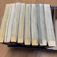 【全巻セット】マンガ『さらい屋五葉』の画像