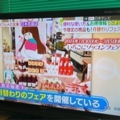 家電 テレビ 液晶テレビ