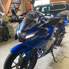 gsx250r  愛知県半田市出品