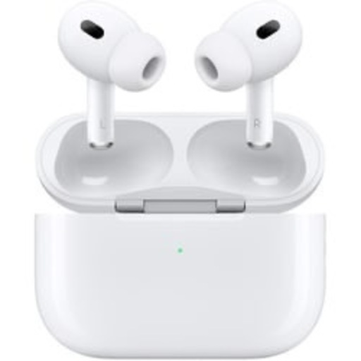 Apple AirPods Pro A2083【L欠品】