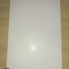 ポストカード　レオマワールド　2枚の画像