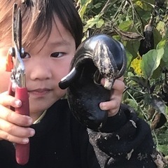 夏野菜収穫祭〜採りたて野菜を調理してみんなで美味しく頂きましょう〜