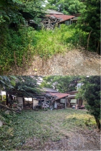 ?お悩みの雑草狩ります?15000円〜