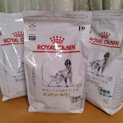 ドックフード安く譲ります
