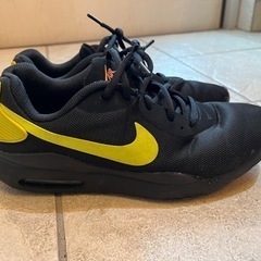 NIKE air max Oketo
の画像