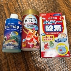 金魚3点セットの画像