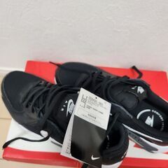 NIKE　  エアマックスエクシー CD5432 003 ブラック 24.5cm ナイキの画像