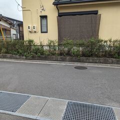蛍草の伐採&片付け支援
