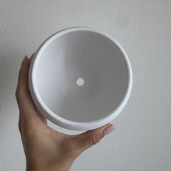 菜の花　陶器鉢の画像