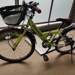 ブリジストン　ジュニアサイクル　EX　24インチサイズの画像