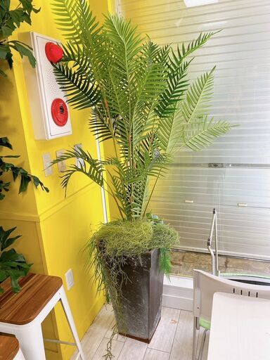 【値下げ】フェイクグリーン（鉢植え型・大型）