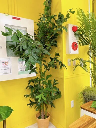 【値下げ】フェイクグリーン（鉢植え型・大型）