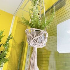 フェイクグリーン（吊り下げ型・マクラメ編み）