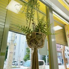 フェイクグリーン（吊り下げ型・マクラメ編み）