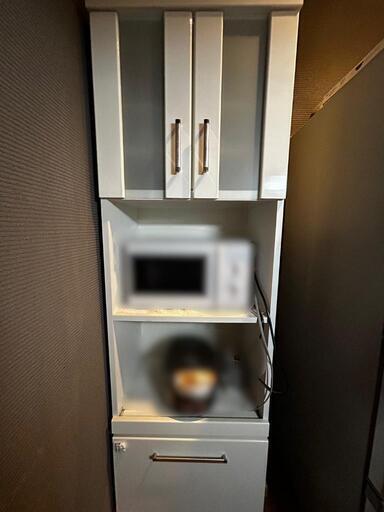 家電 キッチン家電 電子レンジ
