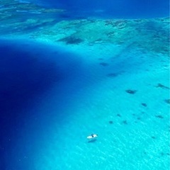 筋トレ&水泳仲間募集！