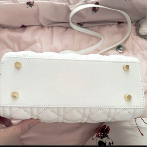 DIORバック　