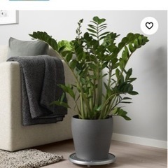 生活雑貨 家庭用品 ガーデニング