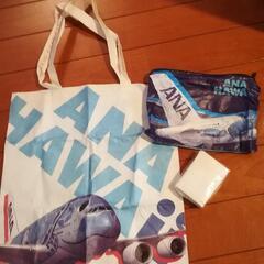 【最終】人気★飛行機★ANA「フライングホヌ」 の非売品の画像