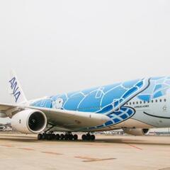 【最終】人気★飛行機★ANA「フライングホヌ」 の非売品の画像