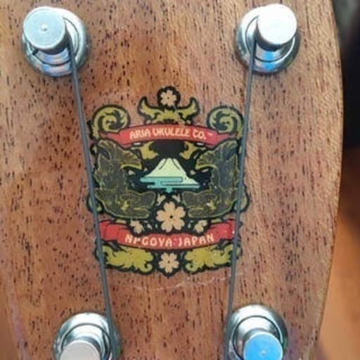 【大特価❣️】ARIA ALH-MC　-Concert- Mahogany《コンサートウクレレ》