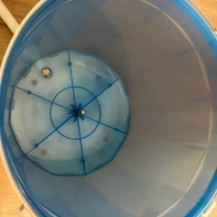 手回し小型洗濯機　キャンプなどで重宝しますの画像