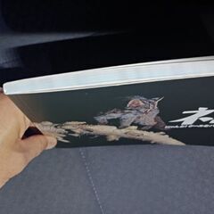 特別展　ネコ　中古本です。の画像