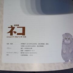 特別展　ネコ　中古本です。の画像