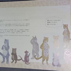 特別展　ネコ　中古本です。の画像