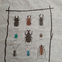 【モンベル】Tシャツ