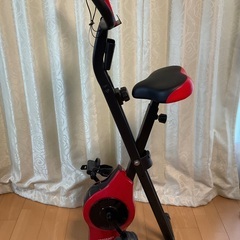 フィットネスバイクSTEADYの画像