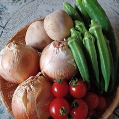 野菜