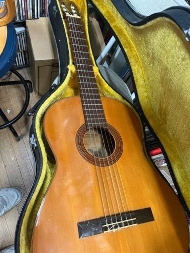 楽器 弦楽器、ギター